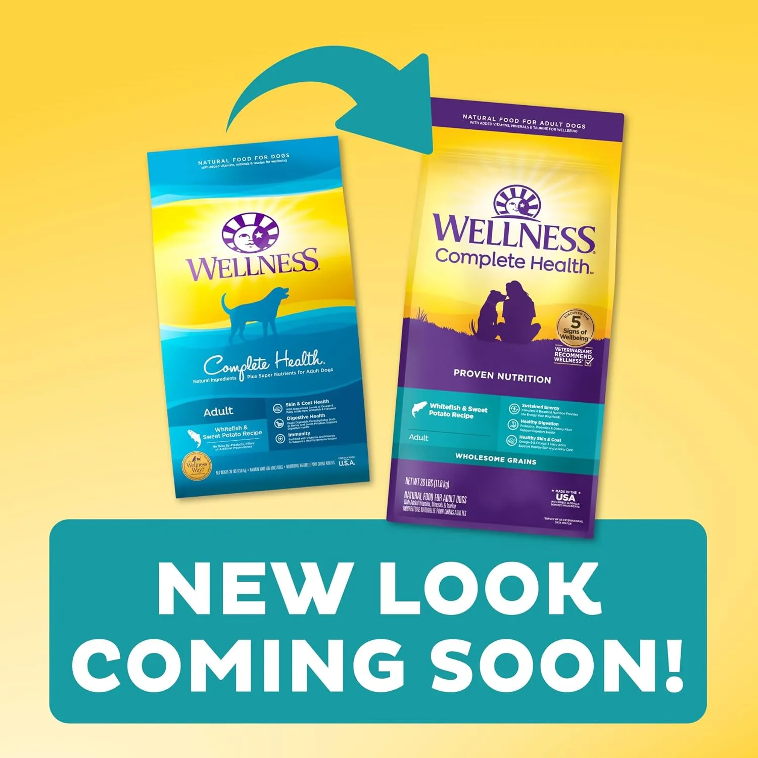 Wellness Complete Health Dry Dog Food, Wholesome Grains, Natural, Whitefish & Sweet Potato Recipe, (30-Pound Bag)