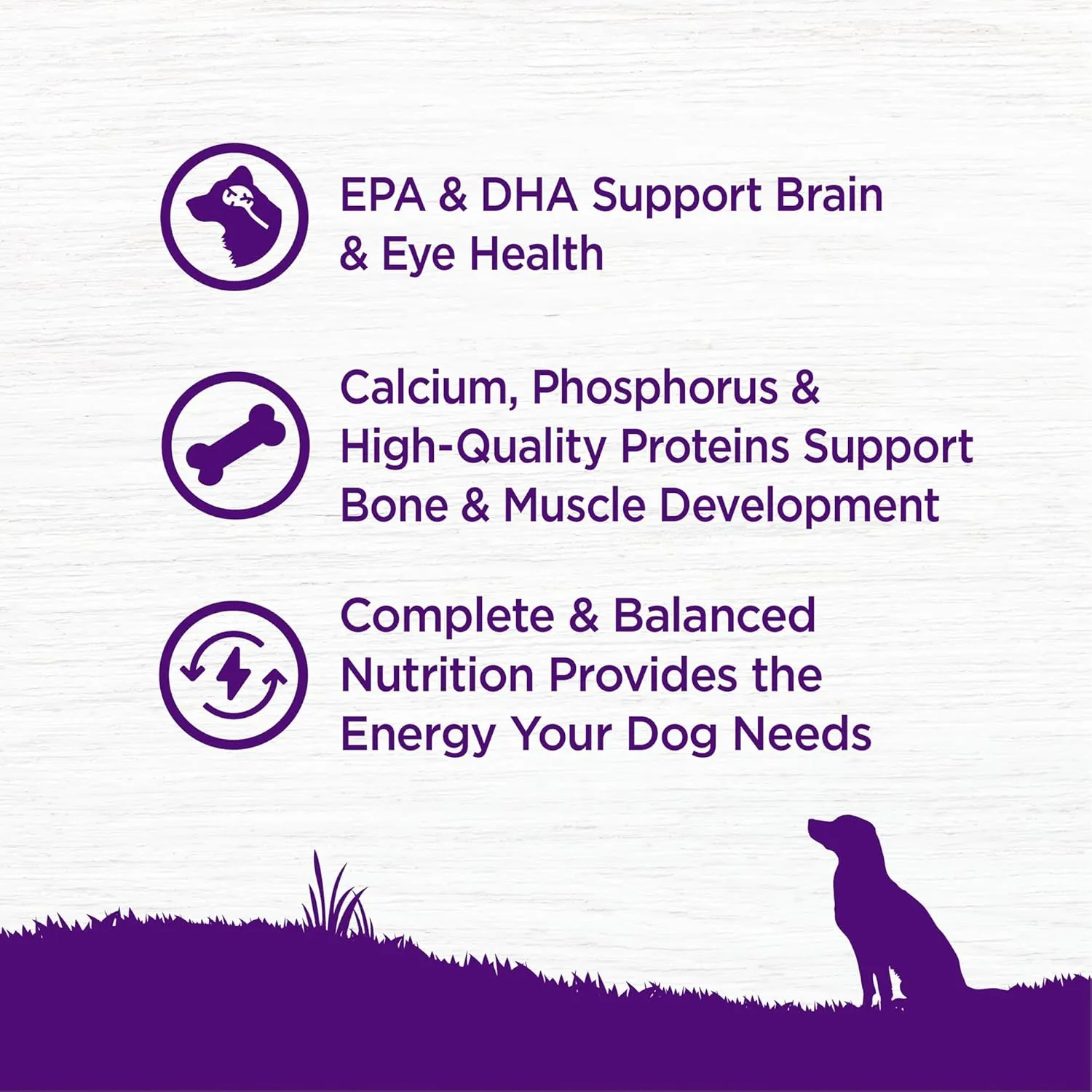 Wellness Complete Health Puppy Dry Dog Food, Grain Free, Natural, Chicken & Salmon Recipe, (22-Pound Bag)