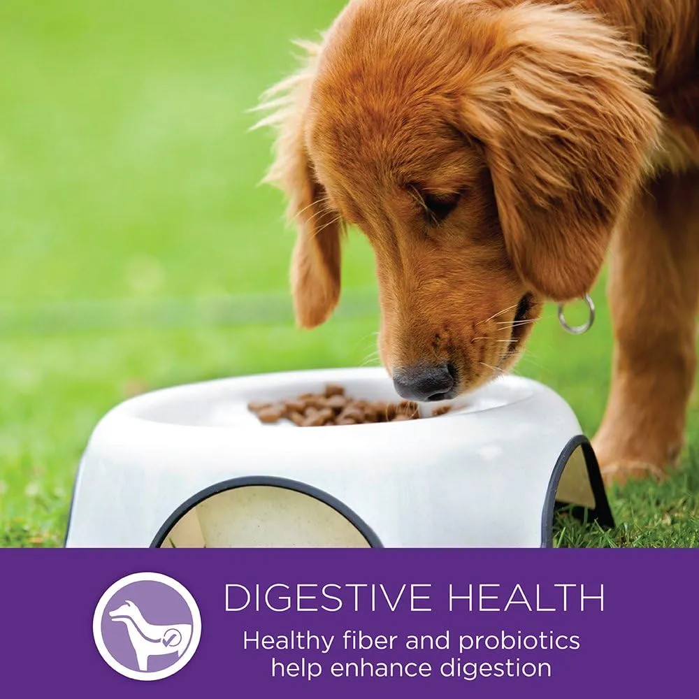 Wellness Complete Health Puppy Dry Dog Food, Large Breed, Wholesome Grains, Natural, Chicken, Oatmeal, & Salmon Recipe, (30-Pound Bag)