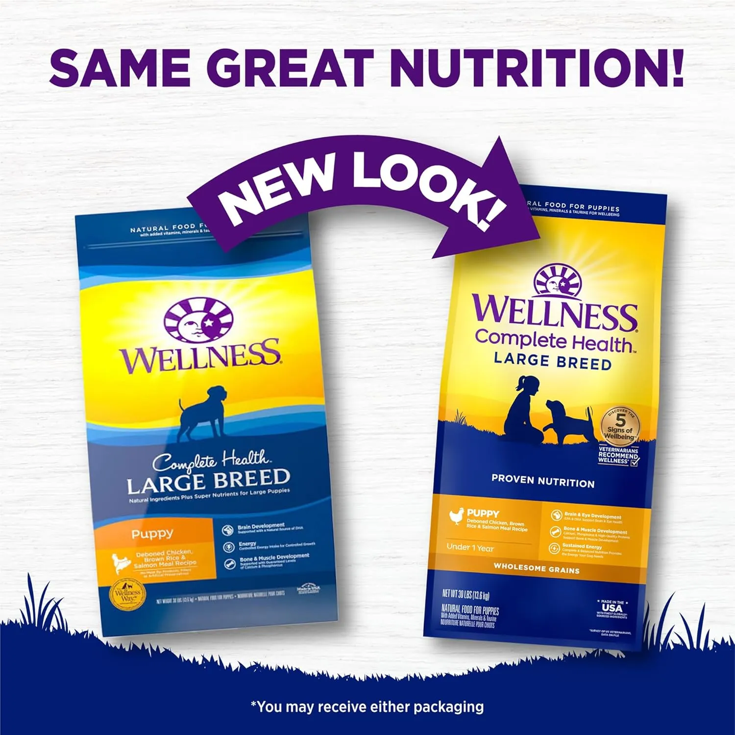 Wellness Complete Health Puppy Dry Dog Food, Large Breed, Wholesome Grains, Natural, Chicken, Oatmeal, & Salmon Recipe, (30-Pound Bag)