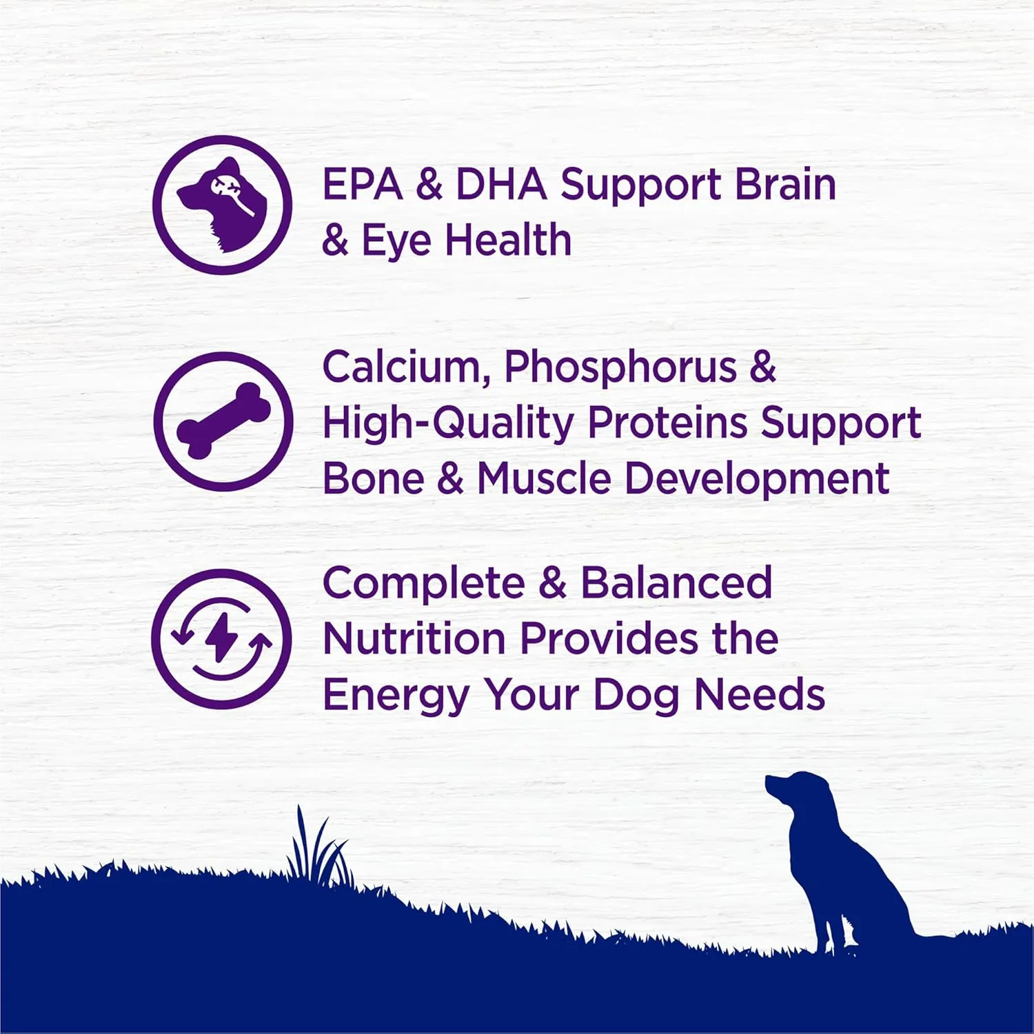 Wellness Complete Health Puppy Dry Dog Food, Large Breed, Wholesome Grains, Natural, Chicken, Oatmeal, & Salmon Recipe, (30-Pound Bag)