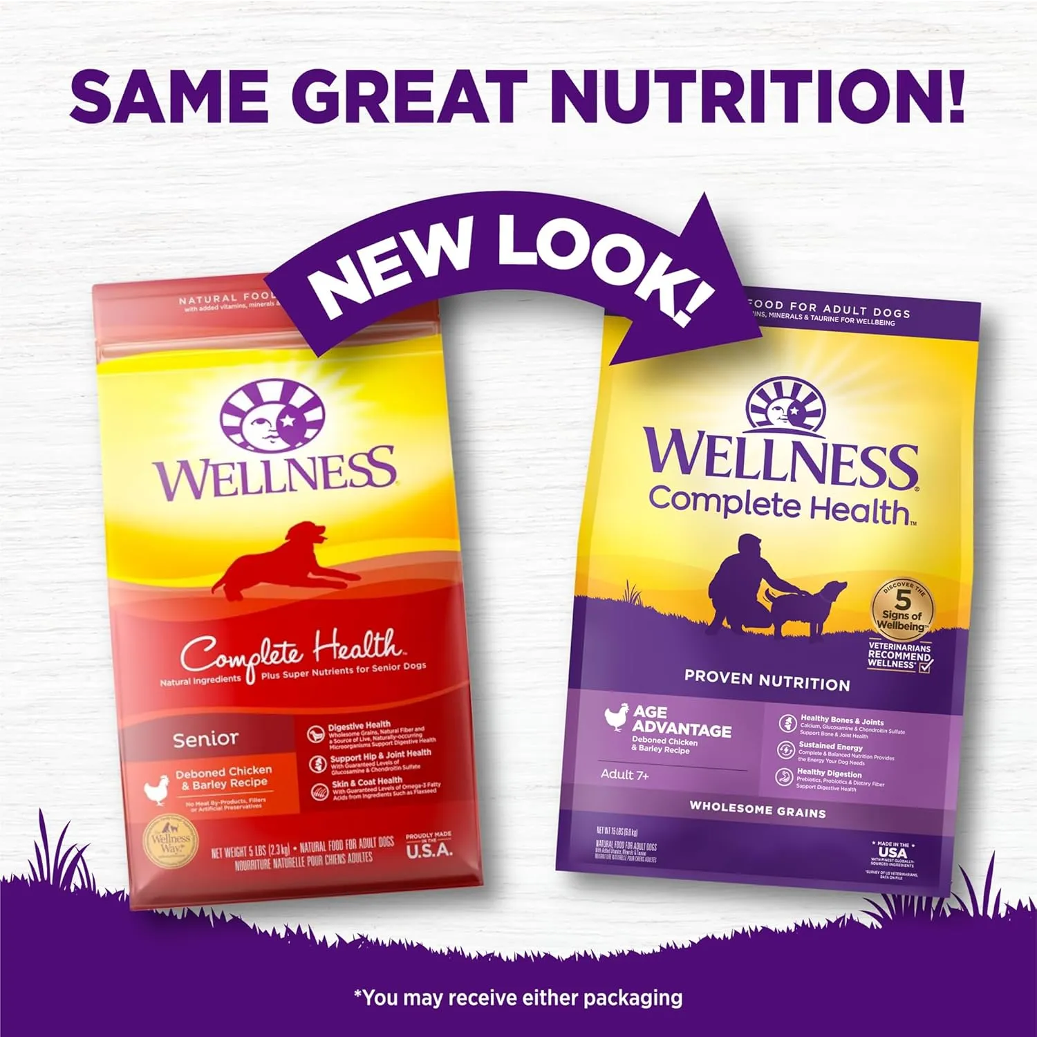 Wellness Complete Health Senior Dry Dog Food, Wholesome Grains, Natural, Age Advantage Chicken & Barley Recipe, (15-Pound Bag)