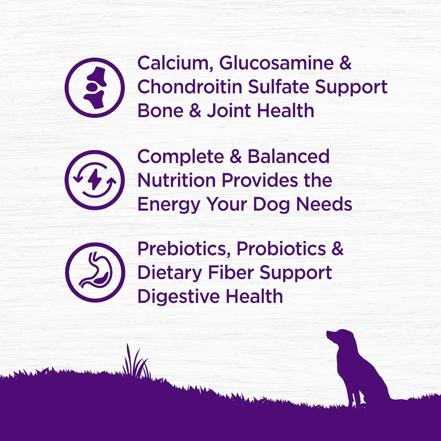 Wellness Complete Health Senior Dry Dog Food, Wholesome Grains, Natural, Age Advantage Chicken & Barley Recipe, (30-Pound Bag)