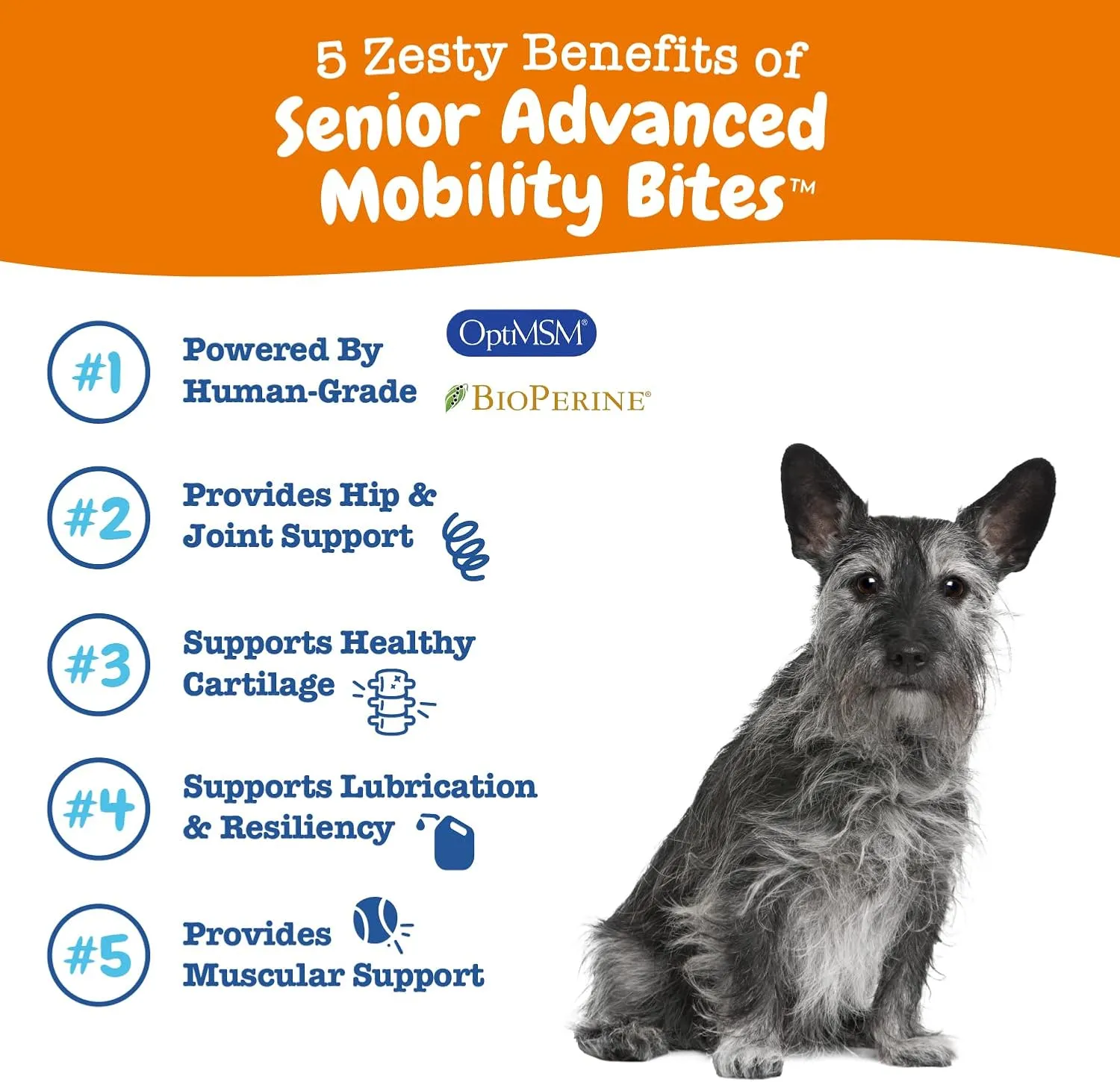 Zesty Paws Mobility Bites Joint Supplement for Dogs - Soft Chews with Glucosamine for Dogs, Chondroitin, & MSM   Vitamins C and E - Adv Chicken - 90 Count