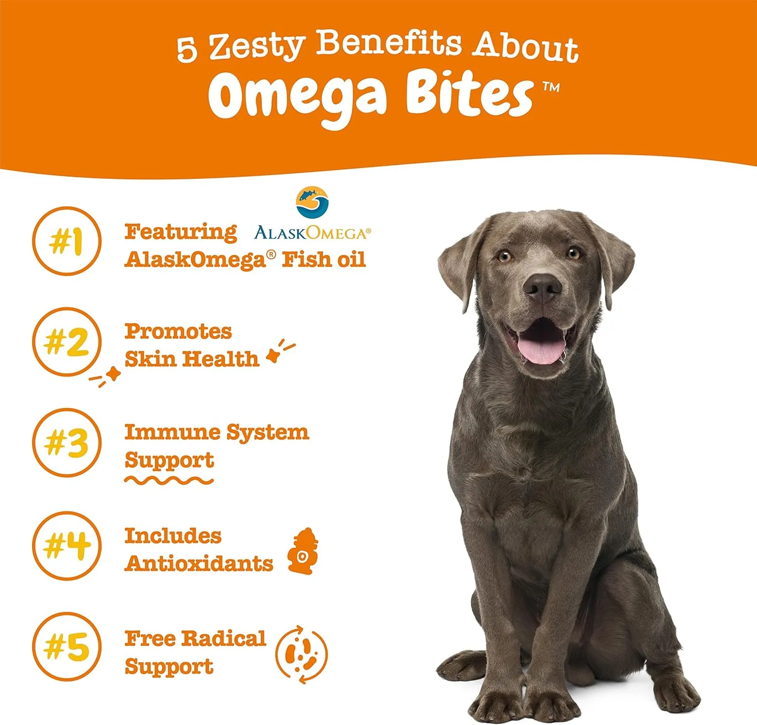 Zesty Paws Omega 3 Alaskan Fish Oil Chew Treats for Dogs - with AlaskOmega for EPA & DHA Fatty Acids - Hip & Joint Support   Skin & Coat Chicken Flavor (90 Soft Chews)