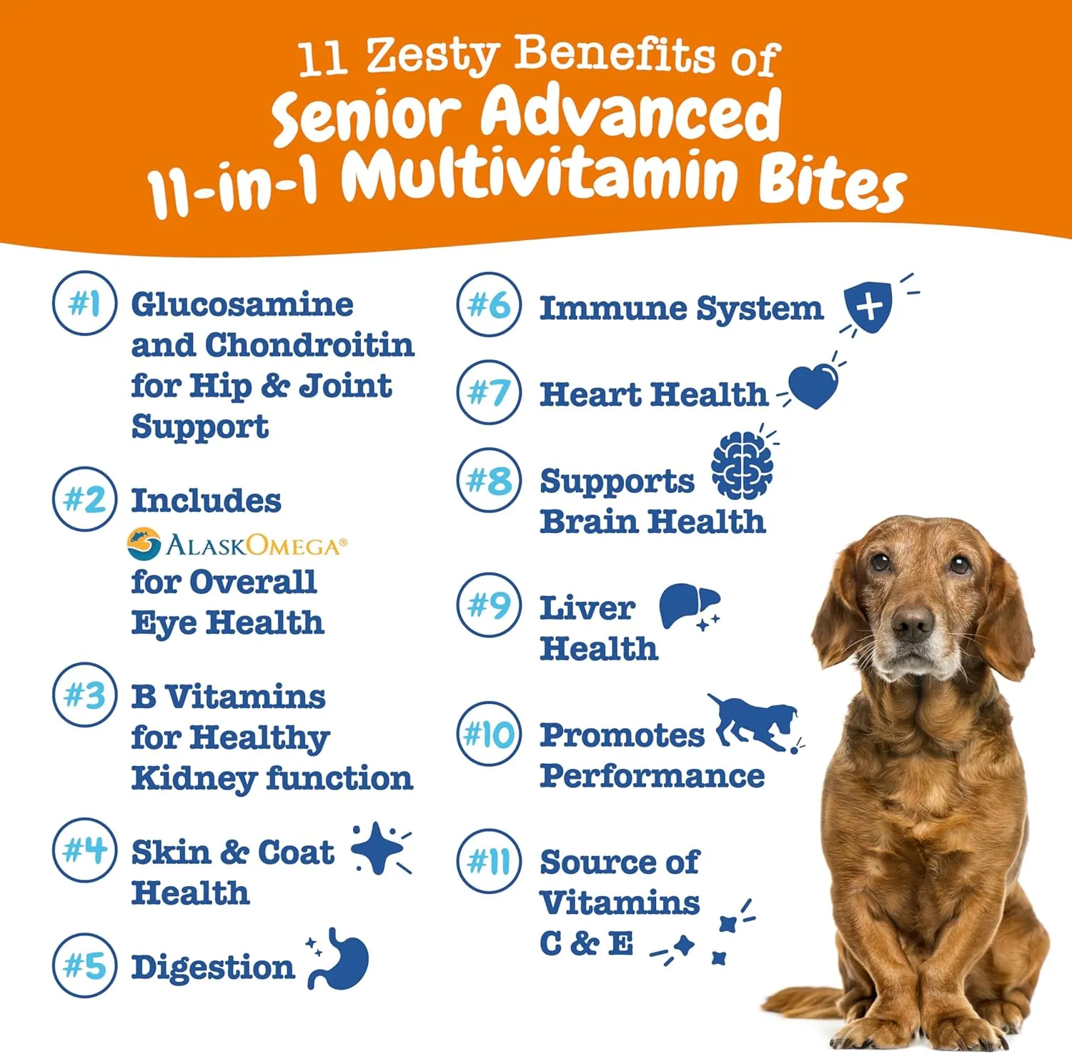 Zesty Paws Senior Dog Multivitamin Treats - Glucosamine for Dogs   Digestive Enzymes & Probiotics - Grain Free Dog Vitamins and Supplements for Skin & Coat   Immune Health Chicken - Advanced - 60ct